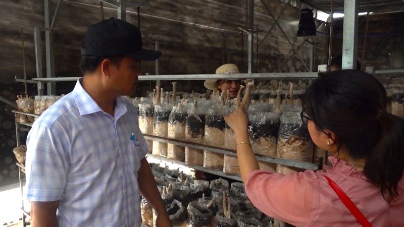 Tham quan khu Nông nghiệp CNC thành phố HCM
